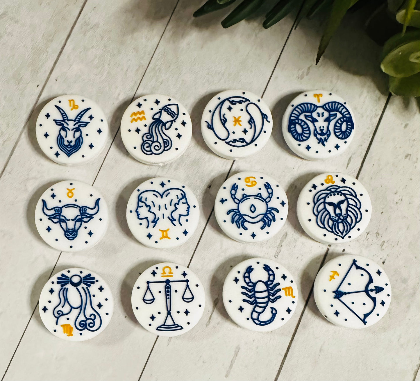 White Zodiac EXCLUSIVE Silicone Focal Bead , Constellation Focal Bead