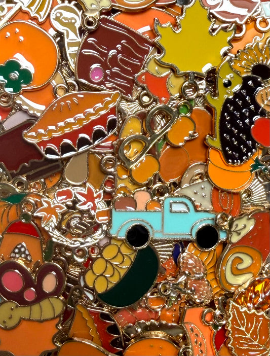 *Bead Mix #509- Random Fall Vibes Charms